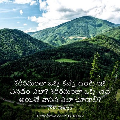 Picture 03 - 1 కొరింథీయులకు 12:17 TELIRV - శరీరమంతా ఒక్క - Bible Verse Picture