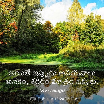 Picture 03 - 1 కొరింథీయులకు 12:20 TELIRV - అయితే ఇప్పుడు - Bible Verse Picture