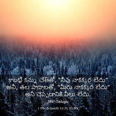 Picture 03 - 1 కొరింథీయులకు 12:21 TELIRV - కాబట్టి కన్ను - Bible Verse Picture