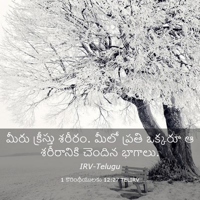 Picture 03 - 1 కొరింథీయులకు 12:27 TELIRV - మీరు క్రీస్తు - Bible Verse Picture