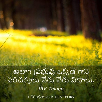 Picture 03 - 1 కొరింథీయులకు 12:5 TELIRV - అలాగే ప్రభువు - Bible Verse Picture