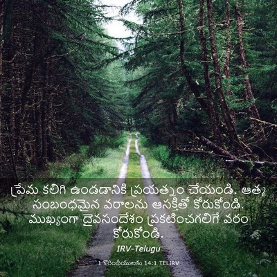 Picture 03 - 1 కొరింథీయులకు 14:1 TELIRV - ప్రేమ కలిగి - Bible Verse Picture