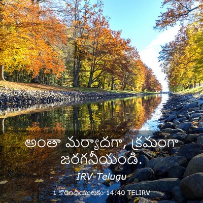 Picture 03 - 1 కొరింథీయులకు 14:40 TELIRV - అంతా మర్యాదగా, - Bible Verse Picture