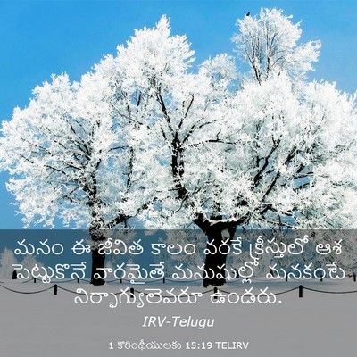 Picture 03 - 1 కొరింథీయులకు 15:19 TELIRV - మనం ఈ జీవిత కాలం - Bible Verse Picture