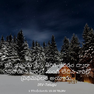 Picture 03 - 1 కొరింథీయులకు 15:20 TELIRV - కానీ ఇప్పుడు - Bible Verse Picture