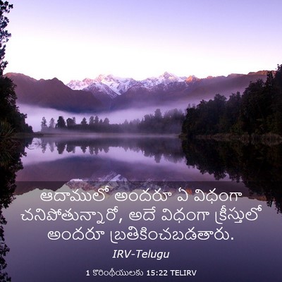 Picture 03 - 1 కొరింథీయులకు 15:22 TELIRV - ఆదాములో అందరూ ఏ - Bible Verse Picture