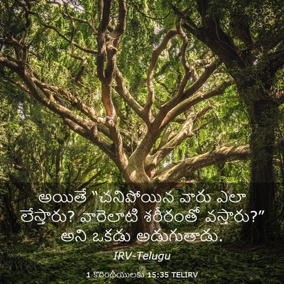 Picture 03 - 1 కొరింథీయులకు 15:35 TELIRV - అయితే “చనిపోయిన - Bible Verse Picture