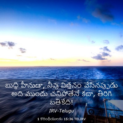 Picture 03 - 1 కొరింథీయులకు 15:36 TELIRV - బుద్ధి హీనుడా, - Bible Verse Picture