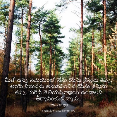 Picture 03 - 1 కొరింథీయులకు 2:2 TELIRV - మీతో ఉన్న సమయంలో - Bible Verse Picture