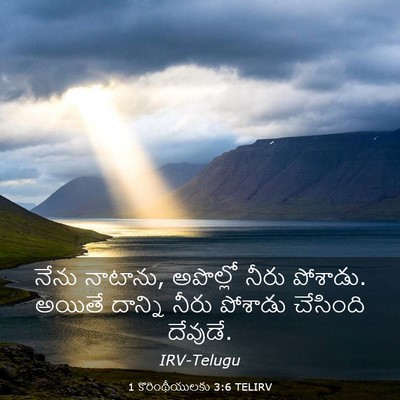 Picture 03 - 1 కొరింథీయులకు 3:6 TELIRV - నేను నాటాను, - Bible Verse Picture