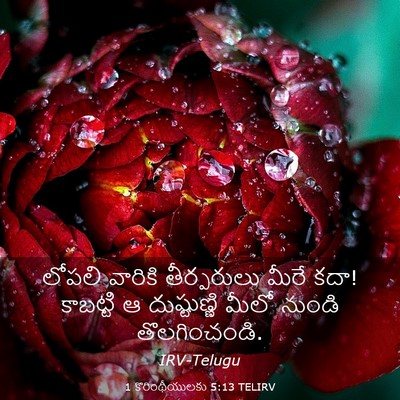 Picture 03 - 1 కొరింథీయులకు 5:13 TELIRV - లోపలి వారికి - Bible Verse Picture