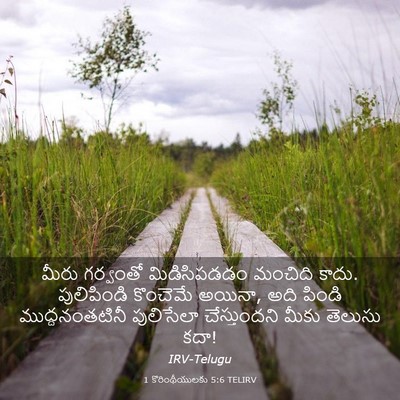 Picture 03 - 1 కొరింథీయులకు 5:6 TELIRV - మీరు గర్వంతో - Bible Verse Picture