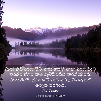Picture 03 - 1 కొరింథీయులకు 5:7 TELIRV - మీరు పులిపిండి - Bible Verse Picture