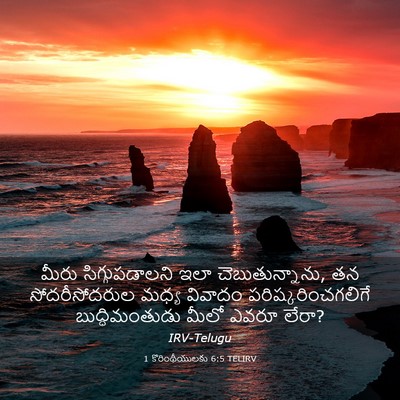 Picture 03 - 1 కొరింథీయులకు 6:5 TELIRV - మీరు సిగ్గుపడాలని - Bible Verse Picture