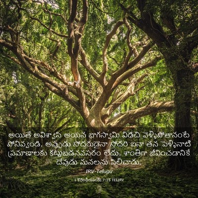 Picture 03 - 1 కొరింథీయులకు 7:15 TELIRV - అయితే అవిశ్వాసి - Bible Verse Picture
