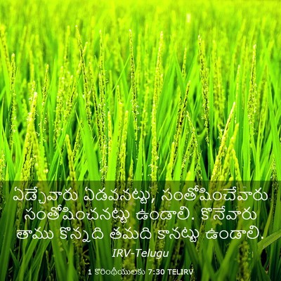Picture 03 - 1 కొరింథీయులకు 7:30 TELIRV - ఏడ్చేవారు - Bible Verse Picture