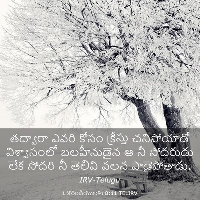 Picture 03 - 1 కొరింథీయులకు 8:11 TELIRV - తద్వారా ఎవరి కోసం - Bible Verse Picture