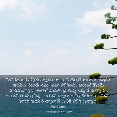 Picture 03 - 1 కొరింథీయులకు 8:6 TELIRV - మనకైతే ఒకే - Bible Verse Picture