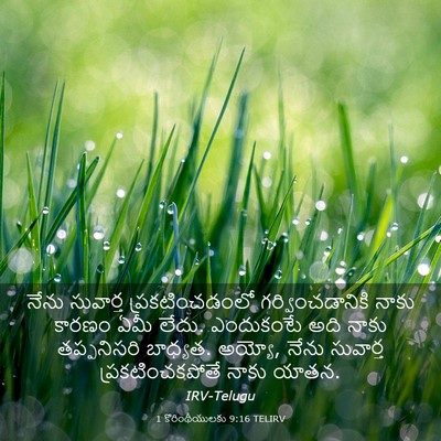 Picture 03 - 1 కొరింథీయులకు 9:16 TELIRV - నేను సువార్త - Bible Verse Picture