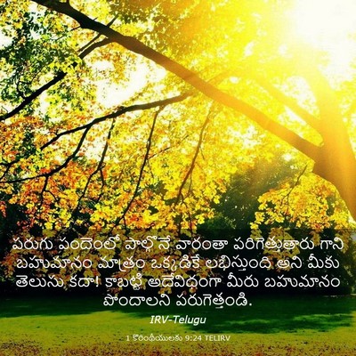 Picture 03 - 1 కొరింథీయులకు 9:24 TELIRV - పరుగు పందెంలో - Bible Verse Picture