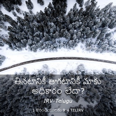 Picture 03 - 1 కొరింథీయులకు 9:4 TELIRV - తినటానికీ - Bible Verse Picture
