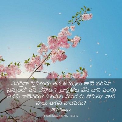 Picture 03 - 1 కొరింథీయులకు 9:7 TELIRV - ఎవరైనా సైనికుడు - Bible Verse Picture