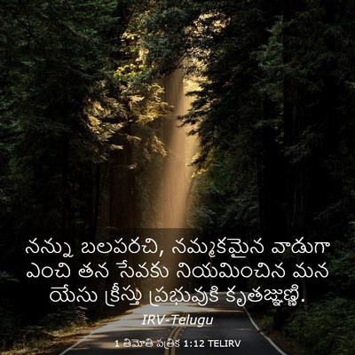 Picture 03 - 1 తిమోతి పత్రిక 1:12 TELIRV - నన్ను బలపరచి, - Bible Verse Picture