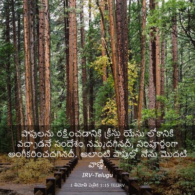 Picture 03 - 1 తిమోతి పత్రిక 1:15 TELIRV - పాపులను - Bible Verse Picture