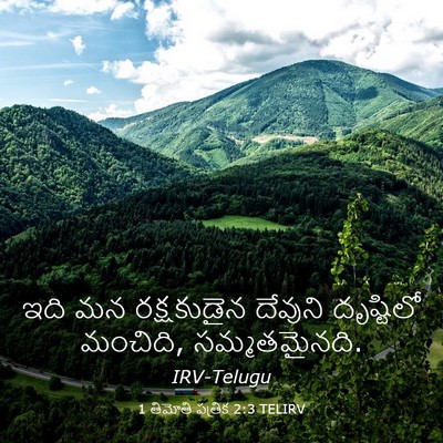 Picture 03 - 1 తిమోతి పత్రిక 2:3 TELIRV - ఇది మన రక్షకుడైన - Bible Verse Picture