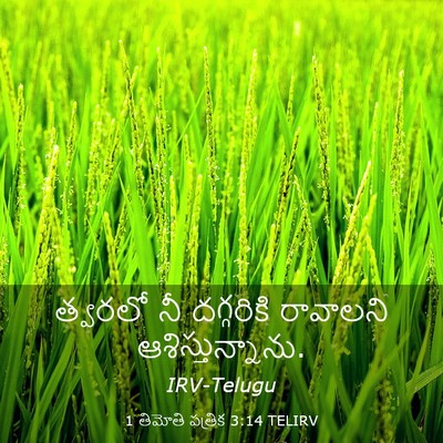 Picture 03 - 1 తిమోతి పత్రిక 3:14 TELIRV - త్వరలో నీ - Bible Verse Picture