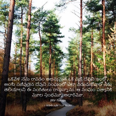 Picture 03 - 1 తిమోతి పత్రిక 3:15 TELIRV - ఒకవేళ నేను రావడం - Bible Verse Picture