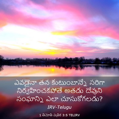 Picture 03 - 1 తిమోతి పత్రిక 3:5 TELIRV - ఎవడైనా తన - Bible Verse Picture