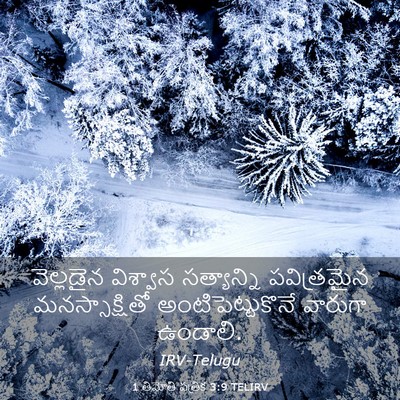 Picture 03 - 1 తిమోతి పత్రిక 3:9 TELIRV - వెల్లడైన విశ్వాస - Bible Verse Picture