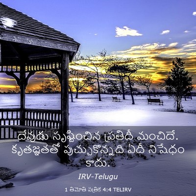 Picture 03 - 1 తిమోతి పత్రిక 4:4 TELIRV - దేవుడు సృష్టించిన - Bible Verse Picture