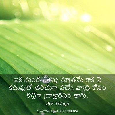 Picture 03 - 1 తిమోతి పత్రిక 5:23 TELIRV - ఇక నుండి నీళ్ళు - Bible Verse Picture