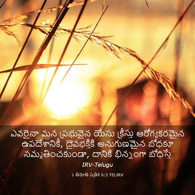 Picture 03 - 1 తిమోతి పత్రిక 6:3 TELIRV - ఎవరైనా మన - Bible Verse Picture