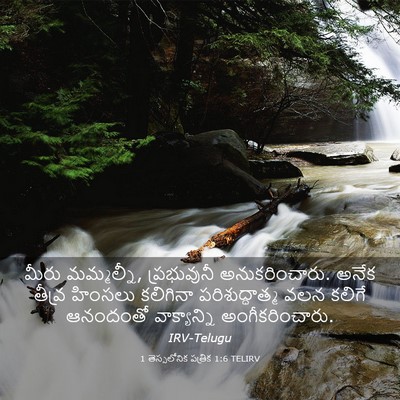 Picture 03 - 1 తెస్సలోనిక పత్రిక 1:6 TELIRV - మీరు మమ్మల్నీ, - Bible Verse Picture