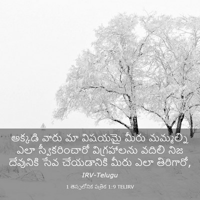 Picture 03 - 1 తెస్సలోనిక పత్రిక 1:9 TELIRV - అక్కడి వారు మా - Bible Verse Picture