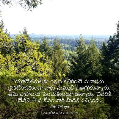Picture 03 - 1 తెస్సలోనిక పత్రిక 2:16 TELIRV - యూదేతరులకు రక్షణ - Bible Verse Picture