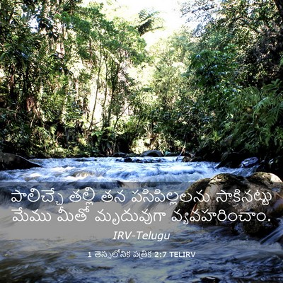 Picture 03 - 1 తెస్సలోనిక పత్రిక 2:7 TELIRV - పాలిచ్చే తల్లి తన - Bible Verse Picture