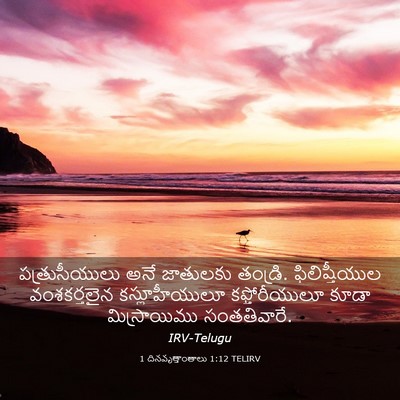 Picture 03 - 1 దినవృత్తాంతాలు 1:12 TELIRV - పత్రుసీయులు అనే - Bible Verse Picture