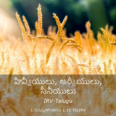 Picture 03 - 1 దినవృత్తాంతాలు 1:15 TELIRV - హివ్వీయులు, - Bible Verse Picture
