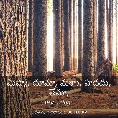 Picture 03 - 1 దినవృత్తాంతాలు 1:30 TELIRV - మిష్మా, దూమా, - Bible Verse Picture