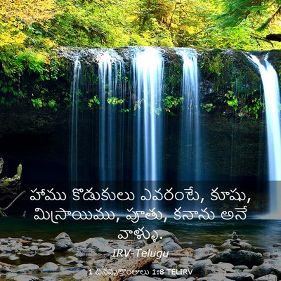 Picture 03 - 1 దినవృత్తాంతాలు 1:8 TELIRV - హాము కొడుకులు - Bible Verse Picture