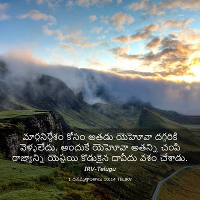Picture 03 - 1 దినవృత్తాంతాలు 10:14 TELIRV - మార్గనిర్దేశం - Bible Verse Picture