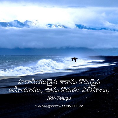 Picture 03 - 1 దినవృత్తాంతాలు 11:35 TELIRV - హరారీయుడైన శాకారు - Bible Verse Picture