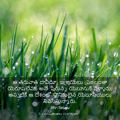 Picture 03 - 1 దినవృత్తాంతాలు 11:4 TELIRV - ఆ తరువాత దావీదూ, - Bible Verse Picture