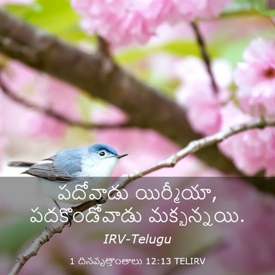 Picture 03 - 1 దినవృత్తాంతాలు 12:13 TELIRV - పదోవాడు యిర్మీయా, - Bible Verse Picture