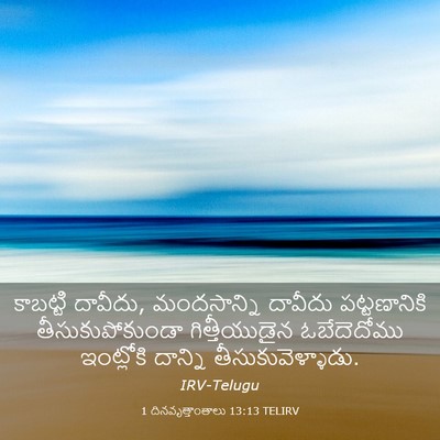 Picture 03 - 1 దినవృత్తాంతాలు 13:13 TELIRV - కాబట్టి దావీదు, - Bible Verse Picture