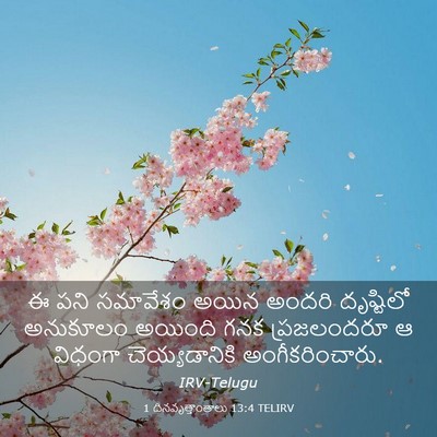 Picture 03 - 1 దినవృత్తాంతాలు 13:4 TELIRV - ఈ పని సమావేశం అయిన - Bible Verse Picture